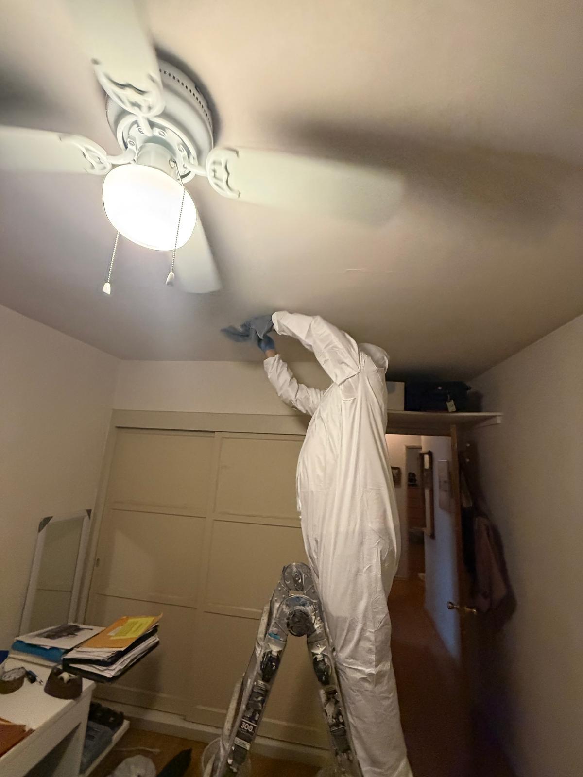 Ceiling Wipe-Down